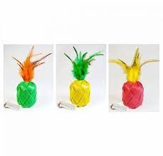 Goli - Pina - Catlada Catnip Infused Cat Toy