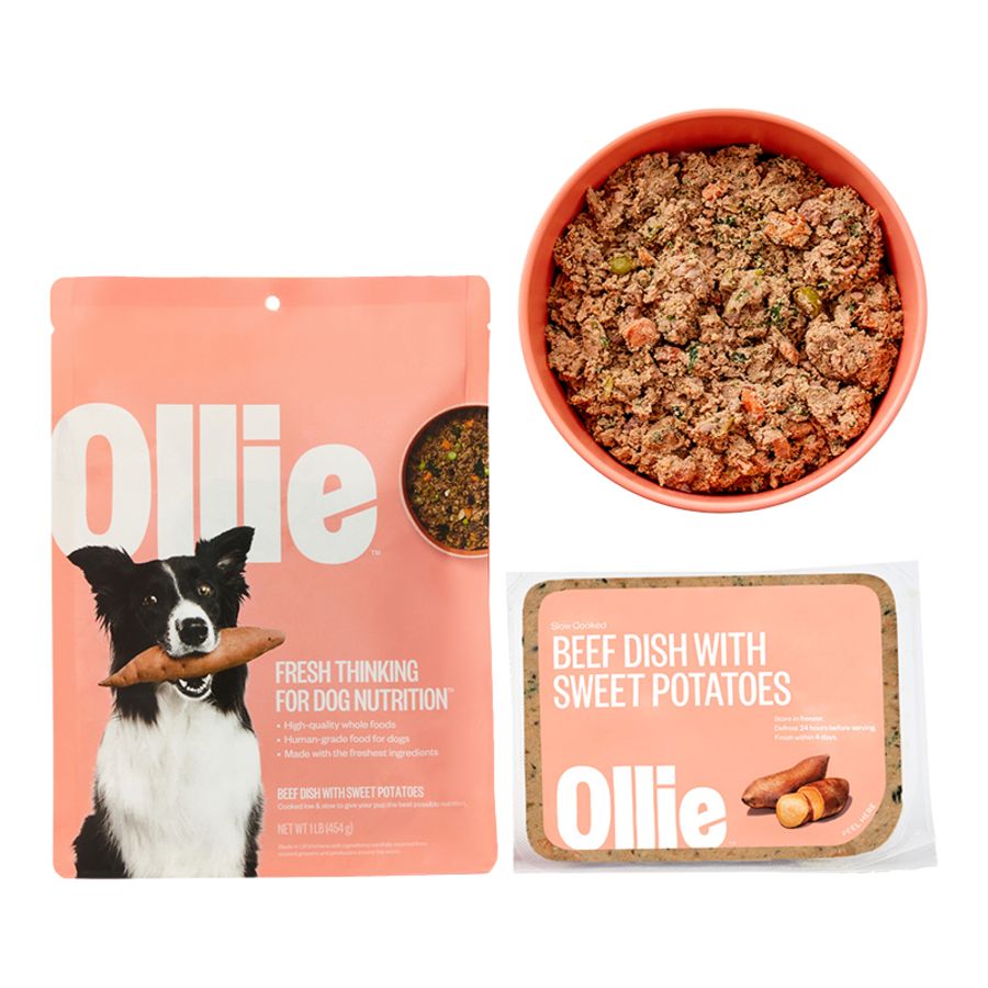 Ollie Dog - Beef with Sweet Potato Frozen Fresh Dog Food 1lb