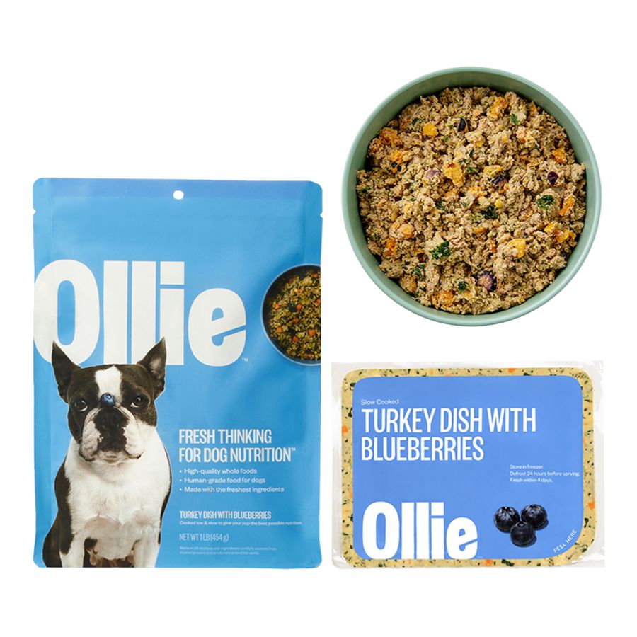 Ollie Dog - Turkey with Blueberry Frozen Fresh Dog Food 1lb