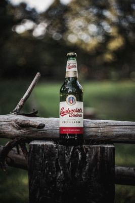 Czech Beer