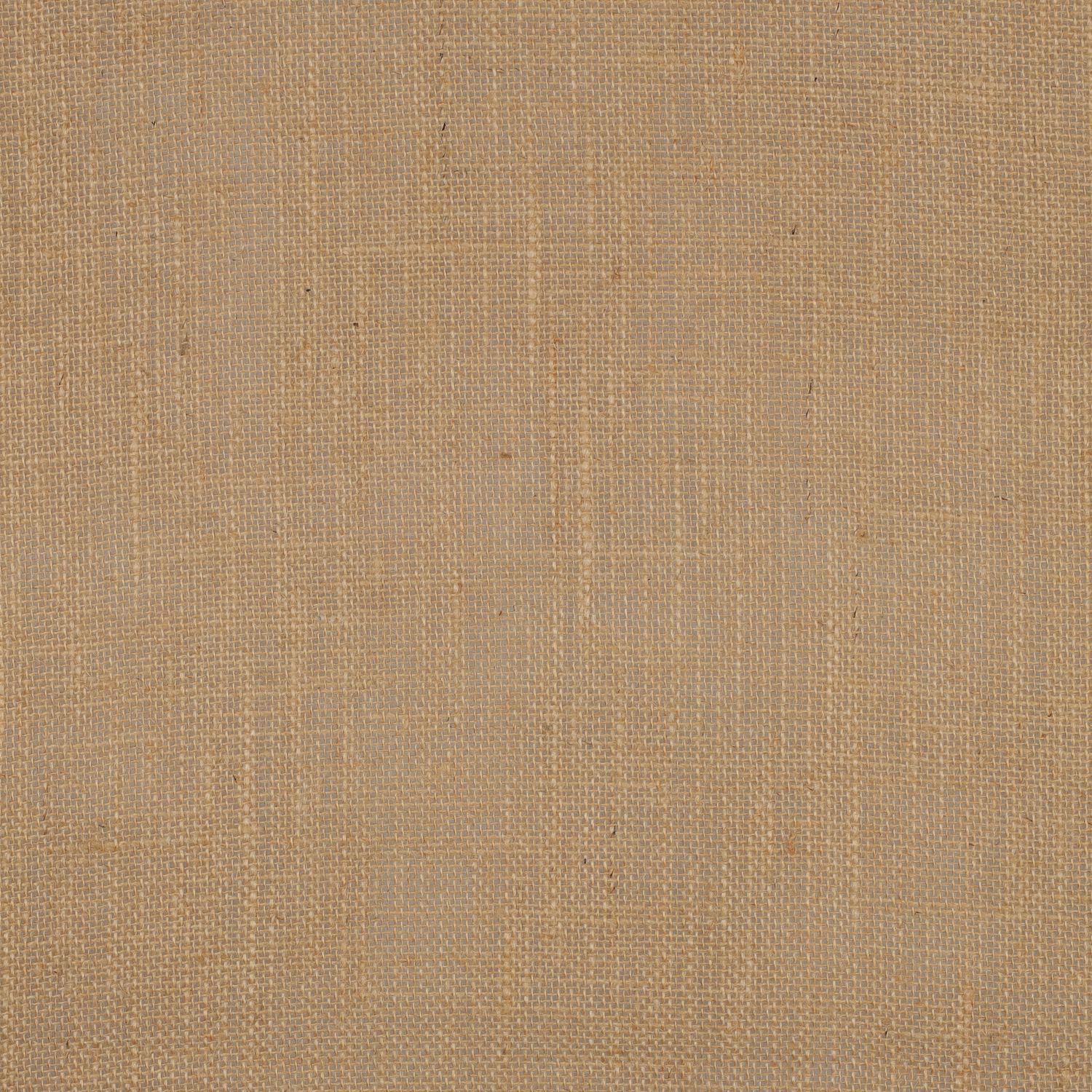 Jute