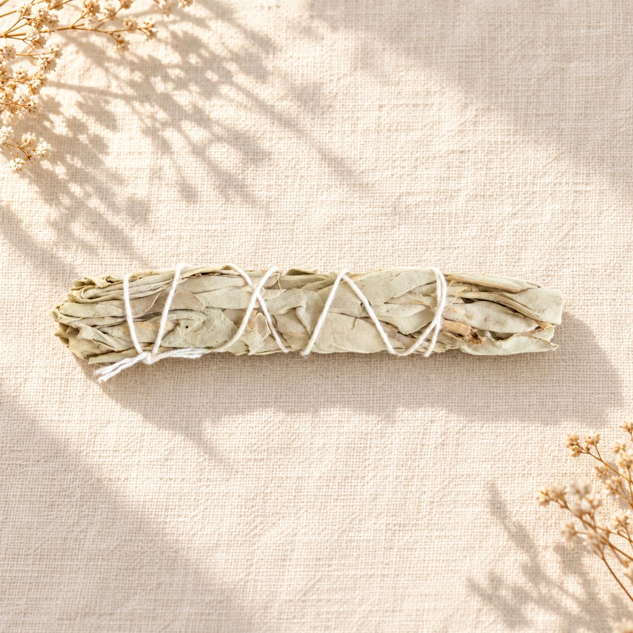 Mini White Sage Bundle