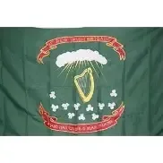 1st irish brigade flag