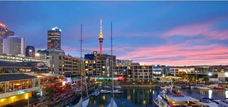VIDEO Work in New Zealand as a Nurse/ Nurse Practitioner