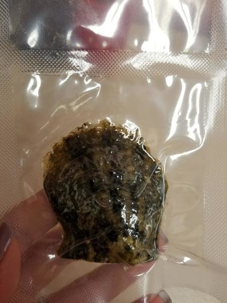 Jenna's treasures and more