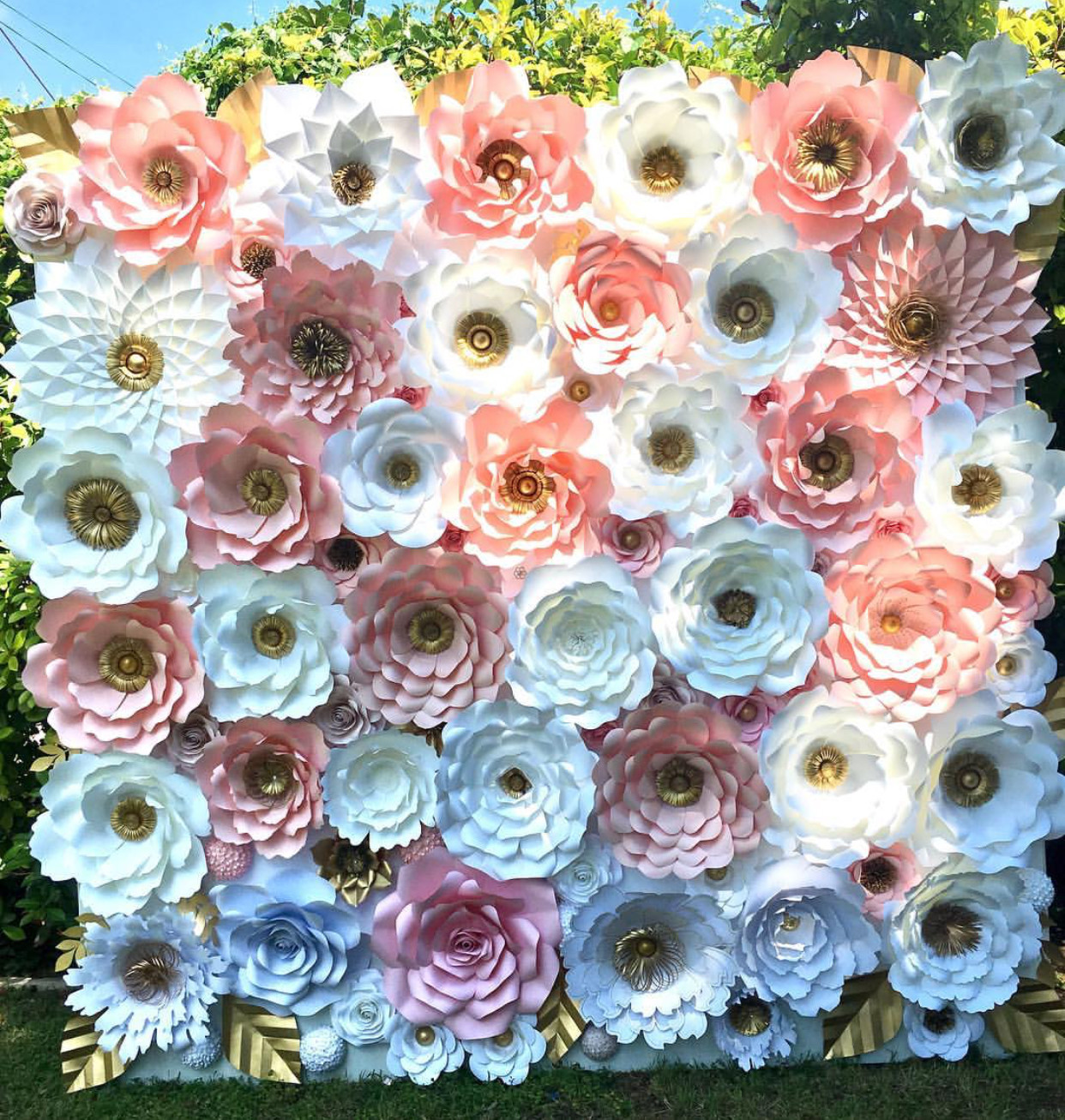 Crystal Rouge 8x5 Backdrop