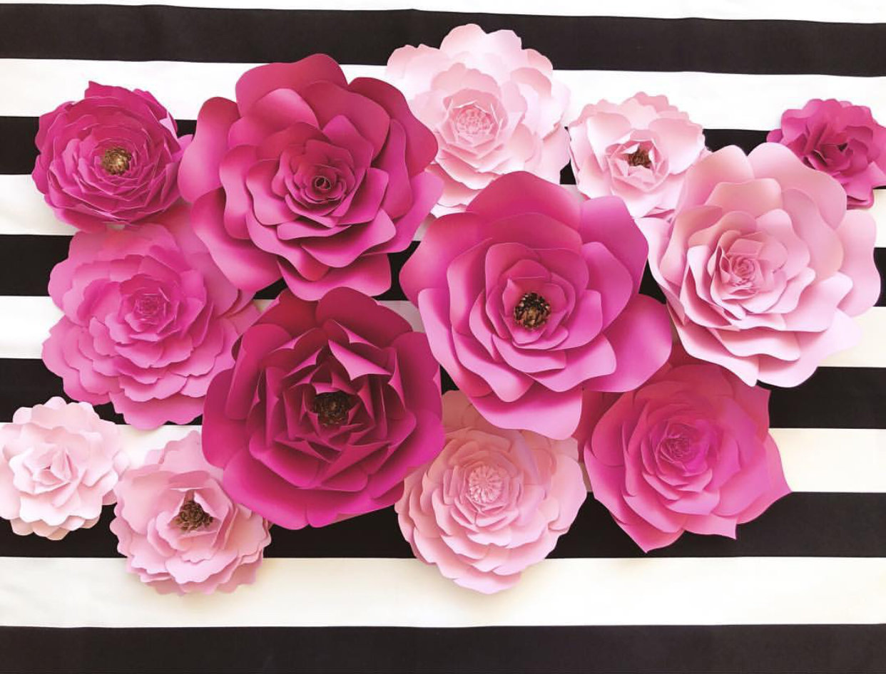 BATTLE WARRIOR COLLECTION