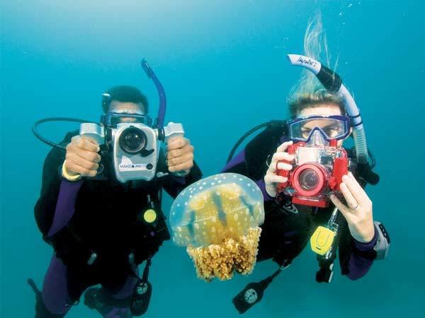 Diving Photo Diving Photo