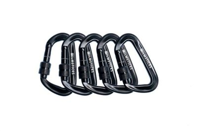 Locking Carabiner (not for climbing) 5 pc