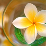 A Blissful Retreat Package Gift Voucher A Blissful Retreat Package Gift Voucher
