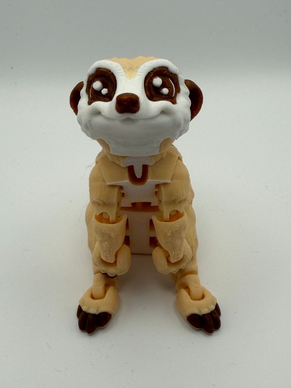Erdmännchen Erdmännchen