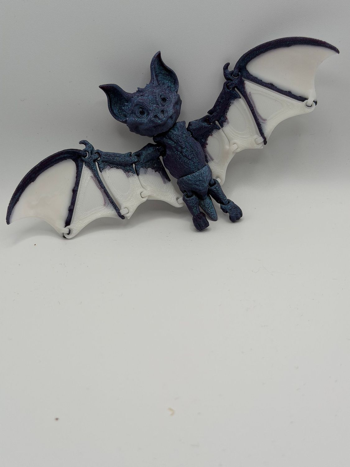Fledermaus Fledermaus