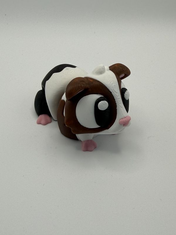 Meerschweinchen schwarz, braun, weiß Meerschweinchen schwarz, braun, weiß
