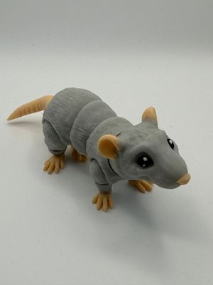 Ratte grau