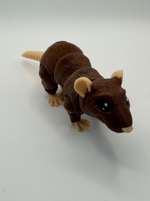Ratte braun Ratte braun