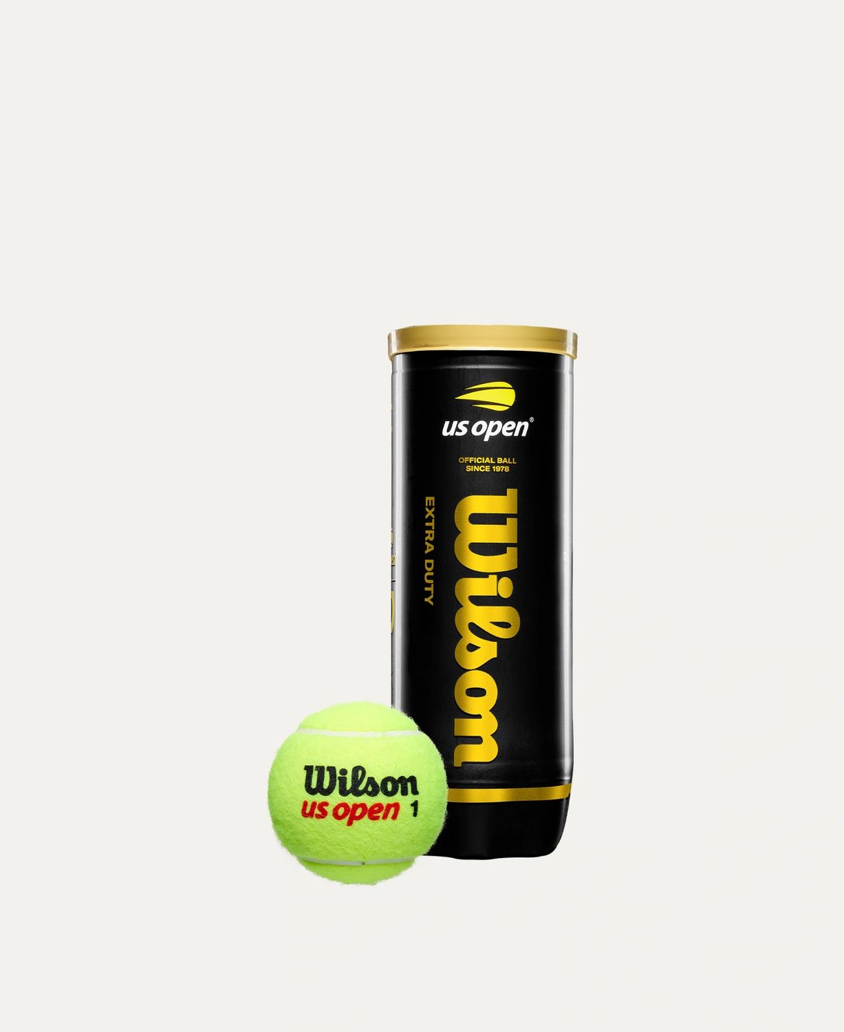 Wilson US Open Extra Duty Can