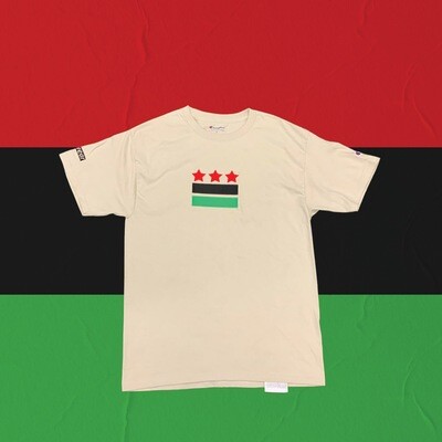 D.C. Black Power Flag T-Shirt