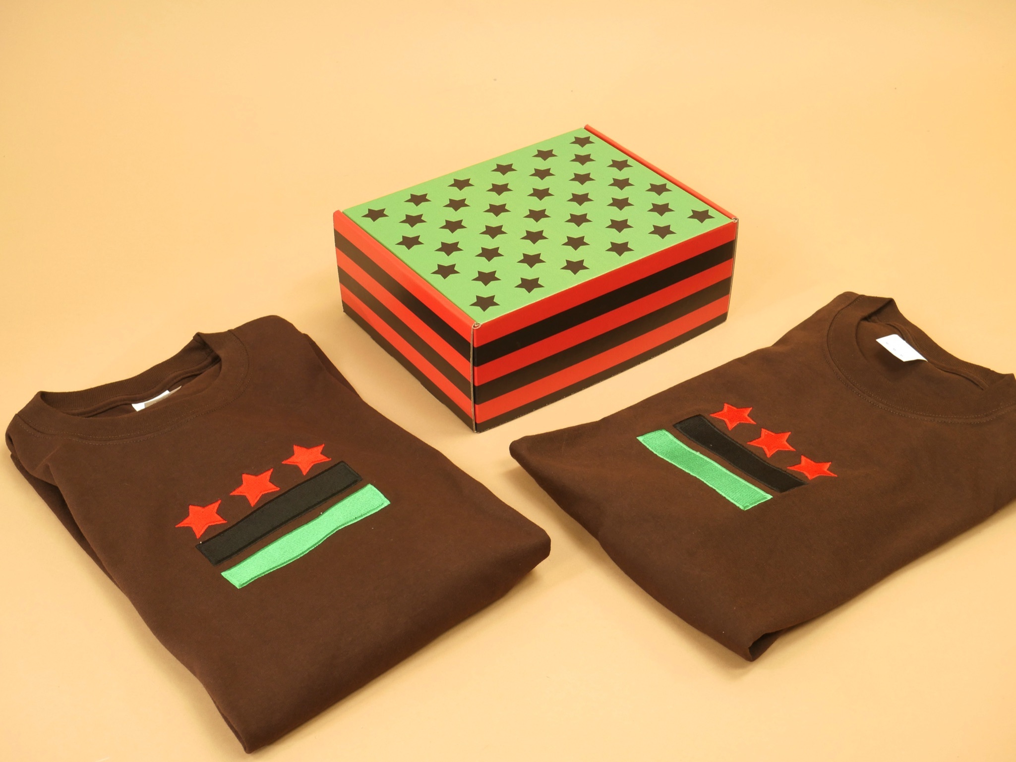 D.C. Black Power Flag Longsleeve T-Shirt