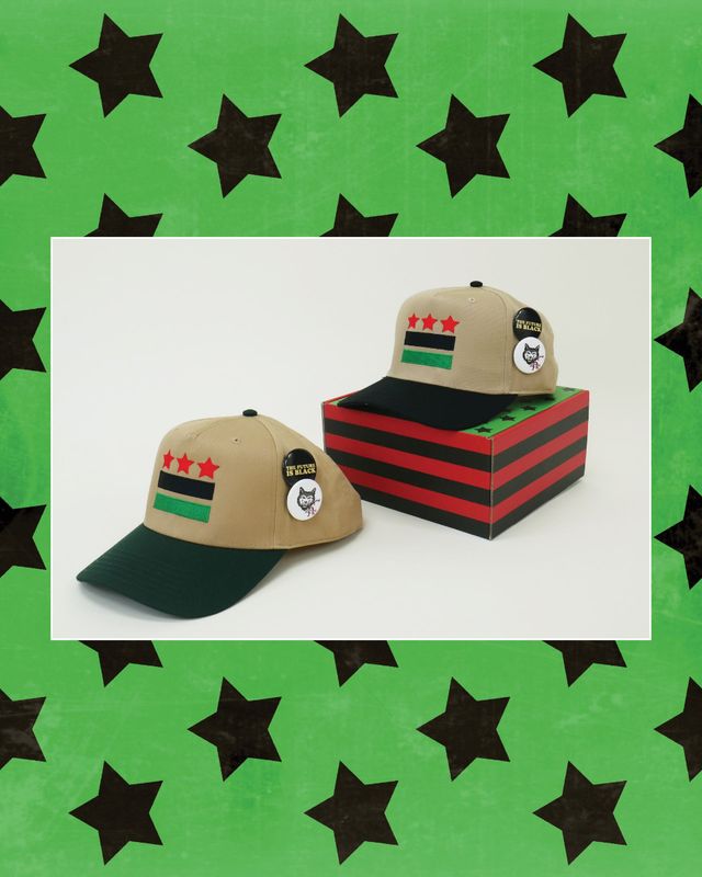 D.C. Black Power Flag Snapback