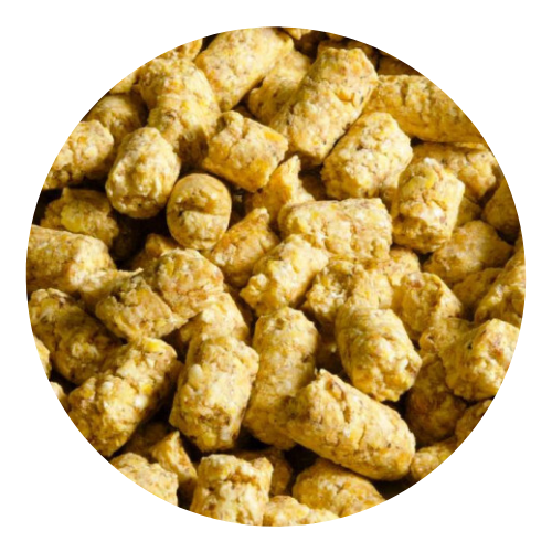 20 kg babycorn