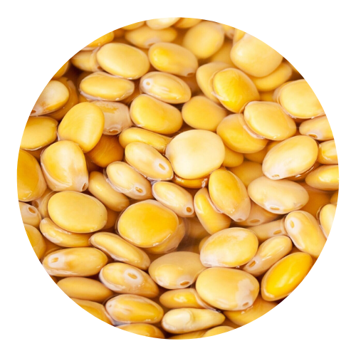 lupin 10Kg