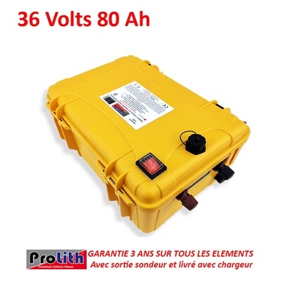 Batterie Prolith PLPR 36V 80A
