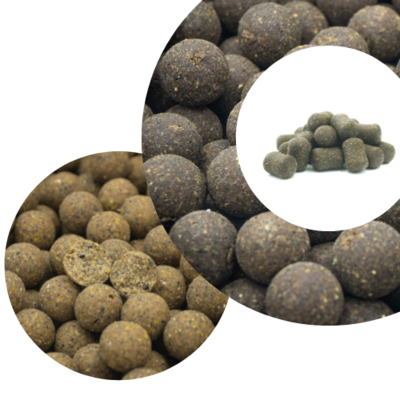 Dumbell / Bouillettes silure, esturgeon et carpe