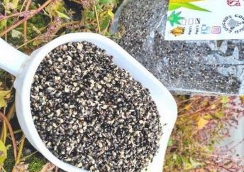 Graines Préparées  - Chènevis en sac de 3,5Kg