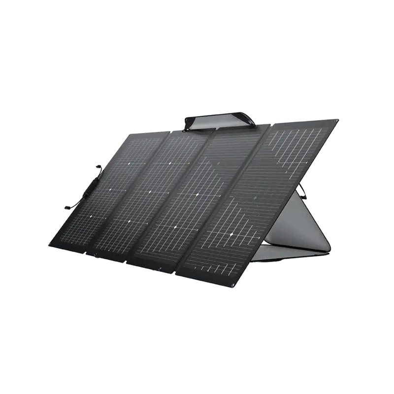 Panneau solaire bifacial 220 W EcoFlow