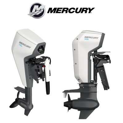 Moteur électrique Mercury Avator