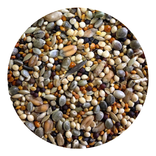 20 kg mélange enduro