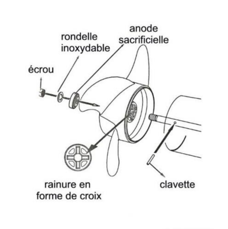 Hélice pour moteur Haswing Osapian 55, Cayman B55, Cayman Pro 55 et Cayman T55
