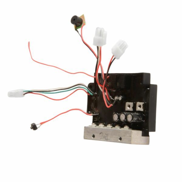 Carte électronique CAYMAN B55 - 55 lbs