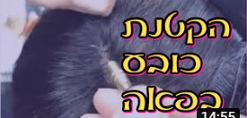 קורס דיגיטלי   אונליין,   וידיאו  אינטרנטי,  תיקון חידוש ושידרוג פאות