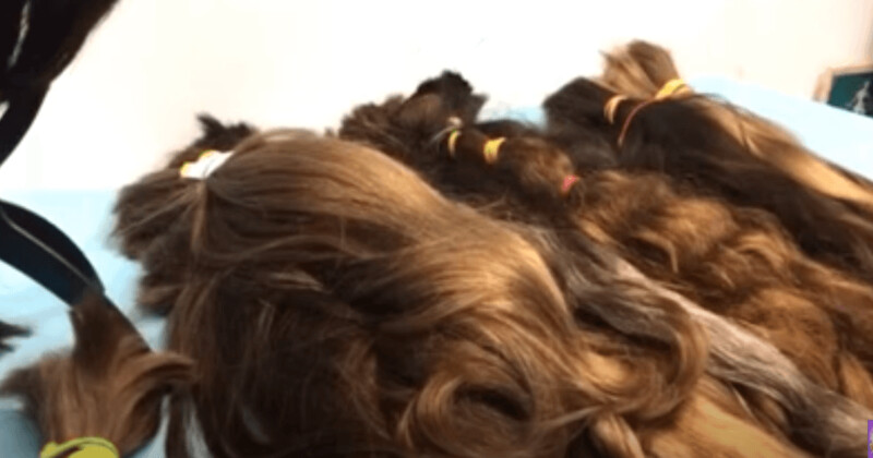 שיער גולמי לתוספות שיער ותפירת פאות ושזירת שיער