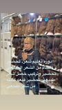 دورة فيديو على الانترنت مجانا. تخلص من الفوضى التي تحتاجها للتخلص من الفوضى التي تحتاجها