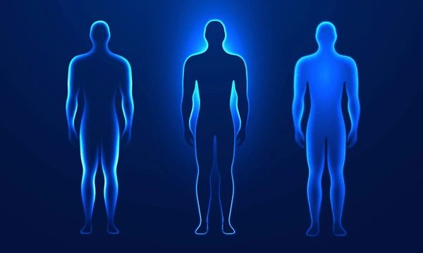 Limpieza de los sistemas humanos completa