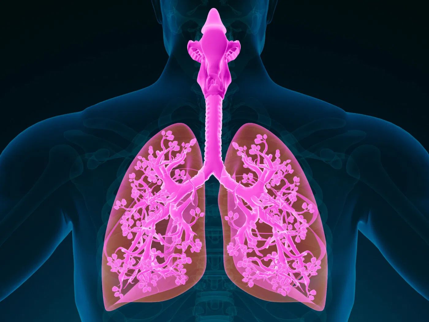 Limpieza profunda del sistema respiratorio
