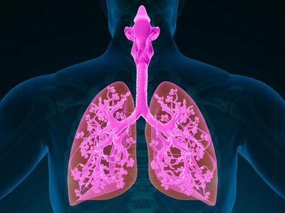 Limpieza profunda del sistema respiratorio