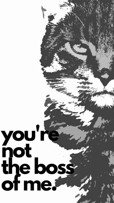 Grumpy Cat Wall Art Graphic Print Printable - Not the Boss