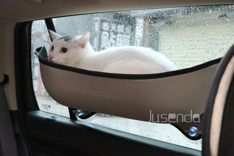 WINDOW MOUNTED CAT BED HAMMOCK FOR HOME OR CAR RIDES