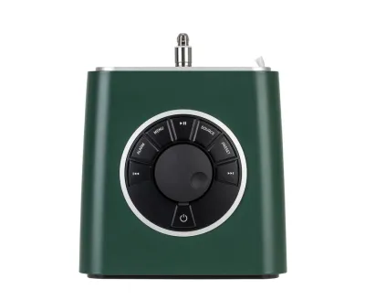 Ruark R1 Mk4 Nordoff PINE Limited-Edition