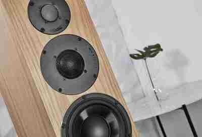 PMC twenty5.26i Oak – High-end gulvhøyttalere (par) (demovare)