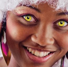 Contact Lenses