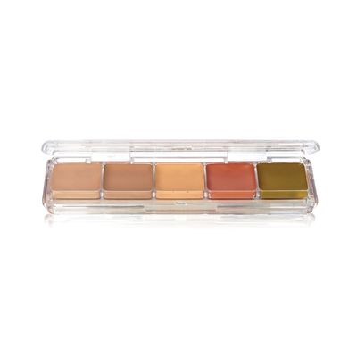 Concealer/Adjuster 0.2oz./6gm. 5 Colors