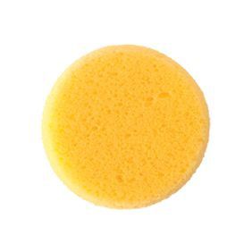 Small Hydra Sponge Applicators