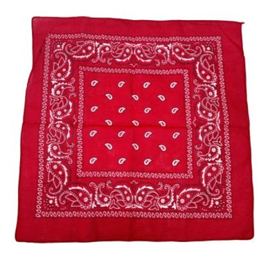 Red Paisley Bandana 20x20in