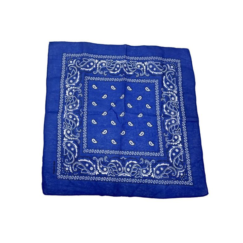 Blue Paisley Bandana 20x20in