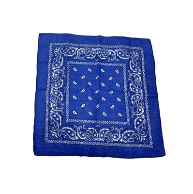 Blue Paisley Bandana 20x20in