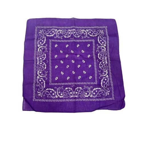 Purple Paisley Bandana 20x20in